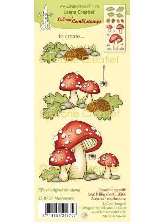 Mushrooms  : Tampons clear...